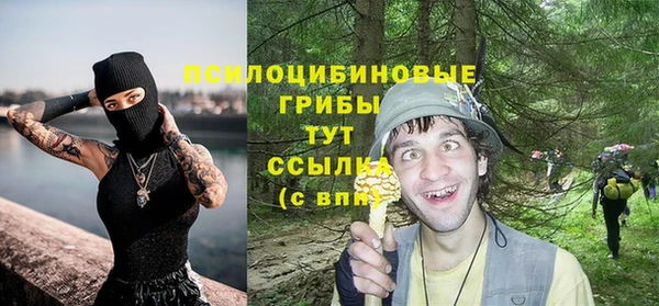 прущие крисы Медногорск