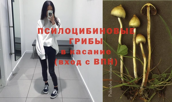 прущие крисы Медногорск