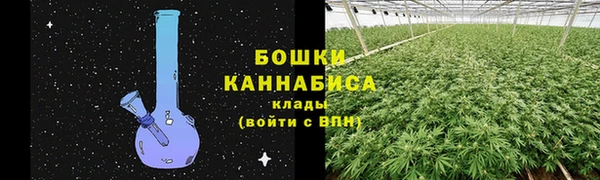 сатива Медвежьегорск