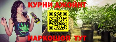 крисы Апшеронск