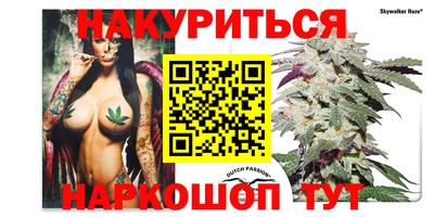 a pvp Кандалакша