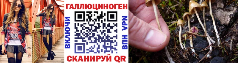 дарк нет наркотические препараты  Сосновый Бор  Галлюциногенные грибы Psilocybe  цены наркотик 