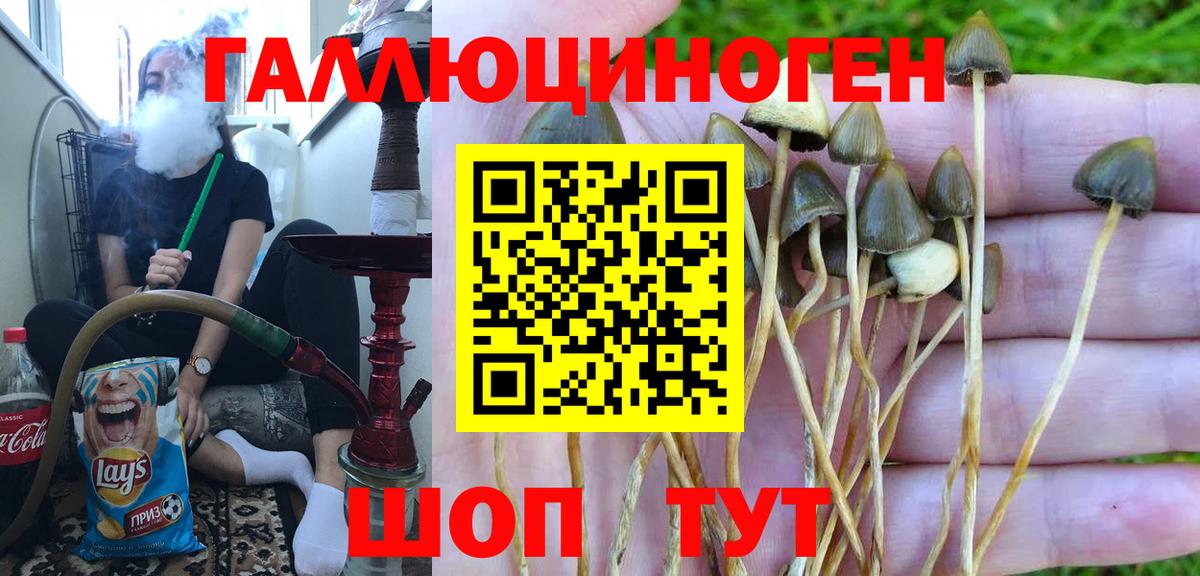 Псилоцибиновые грибы мухоморы Сосновый Бор